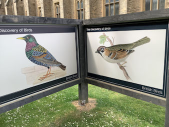 Ushaw 625 P8.jpg (76000 bytes)